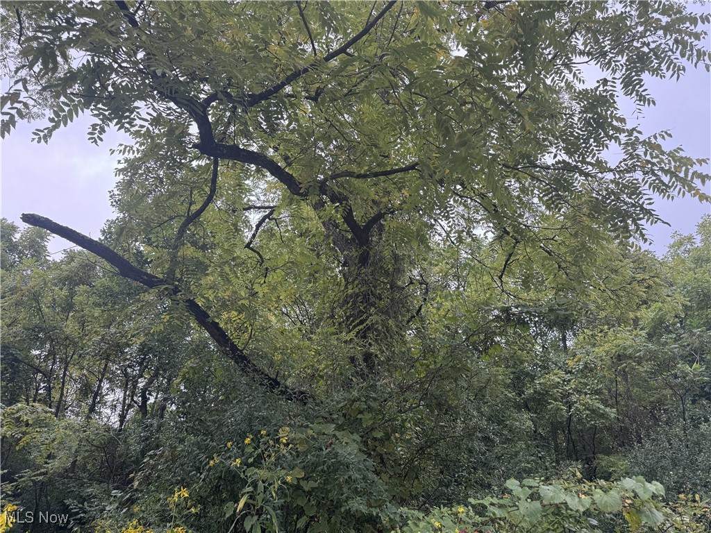  Miltonsburg-Calais Road - Photo 1