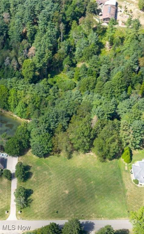  Pleasant Valley Road - Photo 1