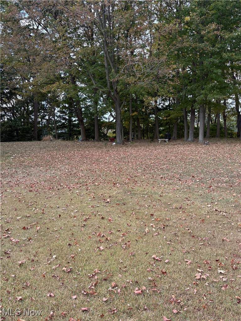  953 SHADY GLEN RD - Photo 1