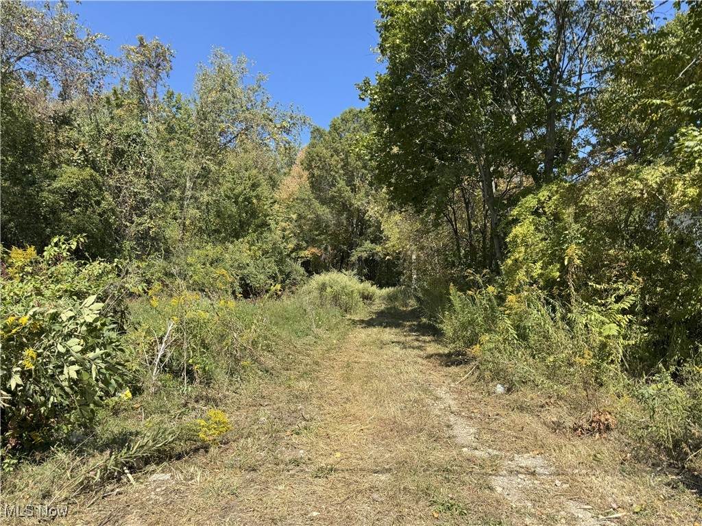  Turkeyfoot Lake Road - Photo 1