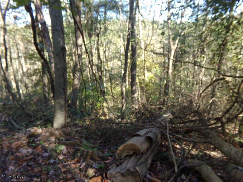 7822 Hilltop Drive - Photo 1