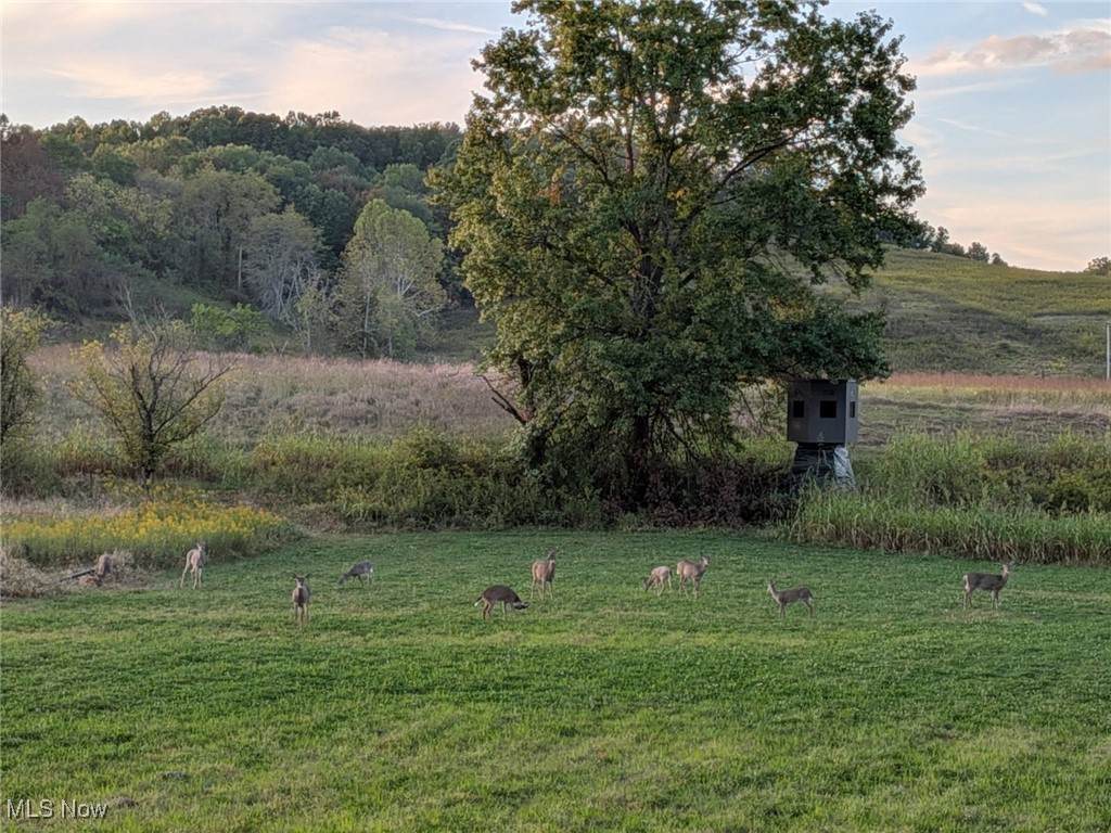  Pigeon Gap Road - Photo 1