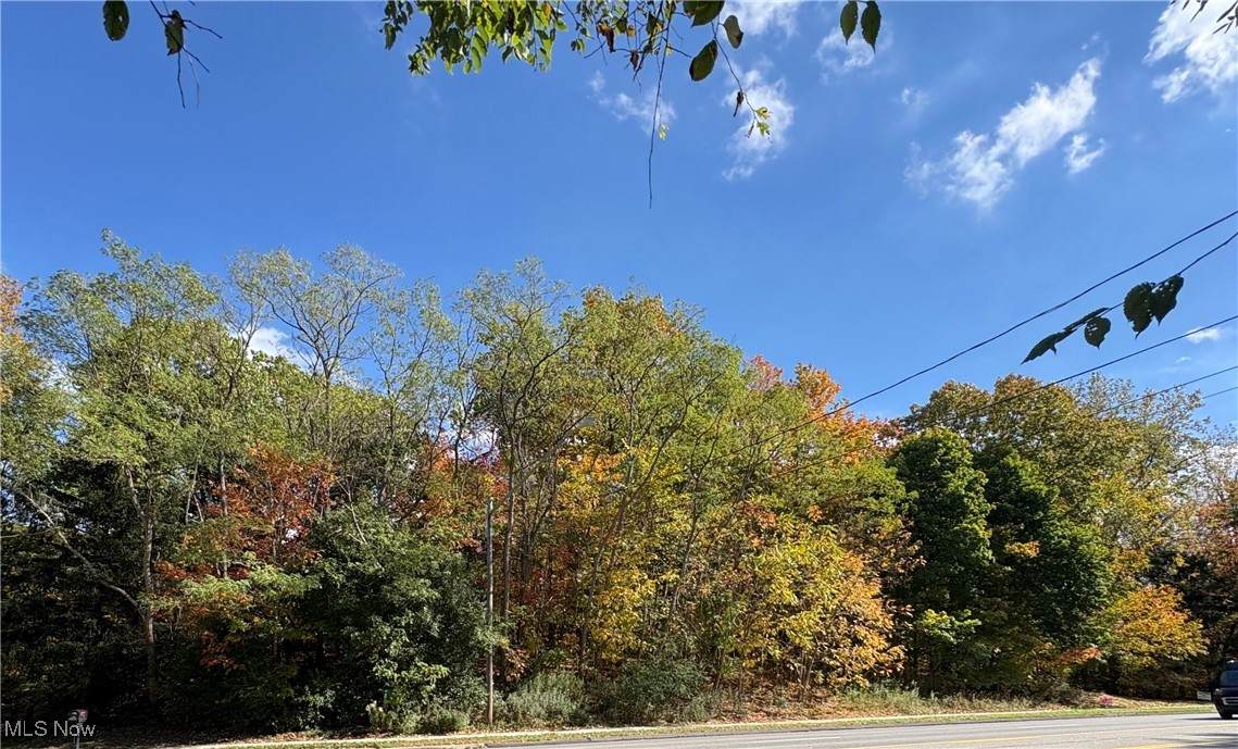  Som Center Road - Photo 1