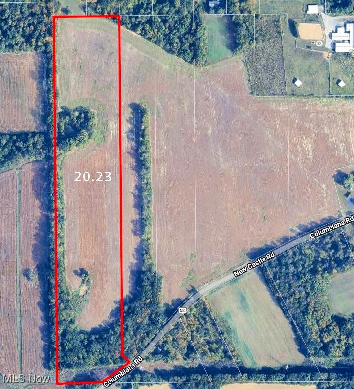  Columbiana Road - Photo 1