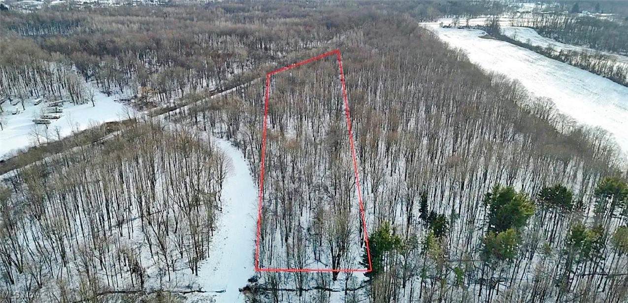 0 South Ridge Sr 84 Road - Photo 1