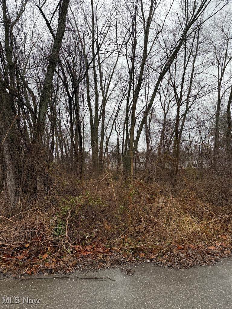  Greendale Avenue - Photo 1