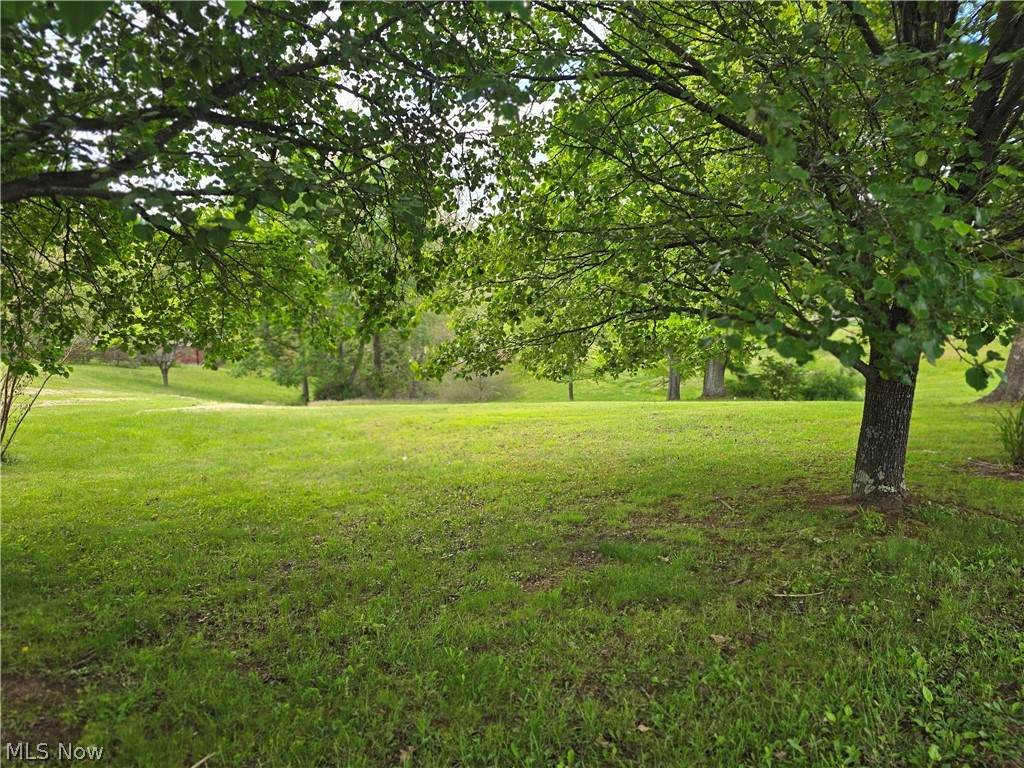  Meadow Lane Circle - Photo 1
