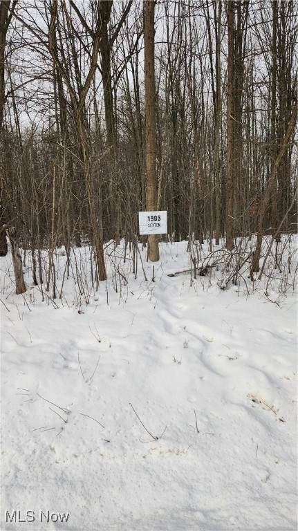 1905 Sexton Road - Photo 1