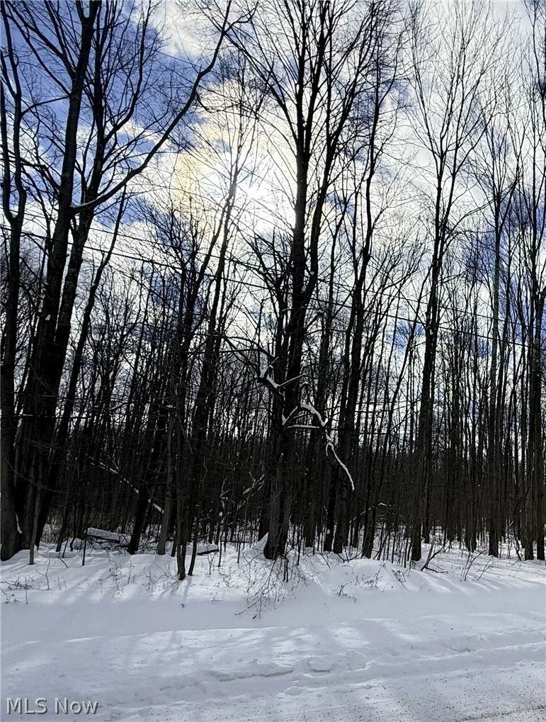  Tompkins Road - Photo 1