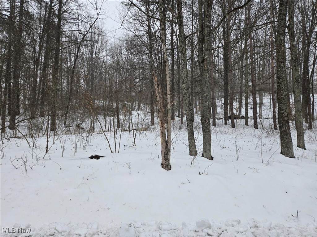  Scott Road - Photo 1