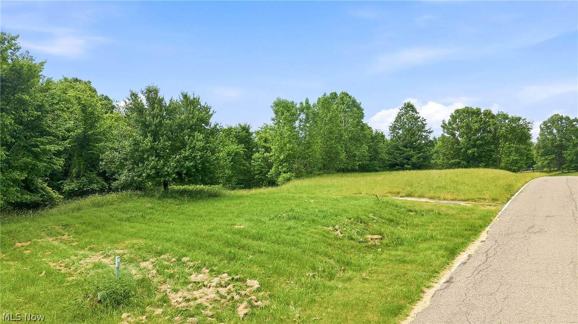  Brookhollow Drive - Photo 1