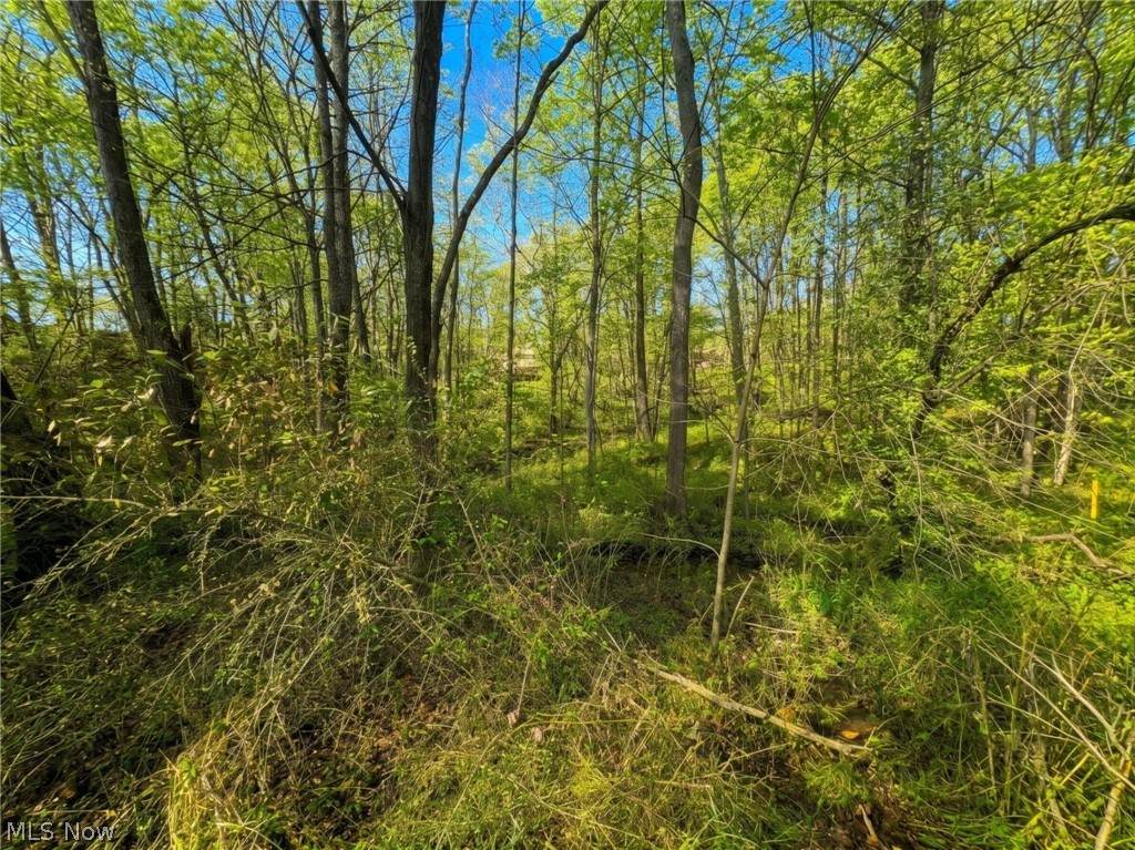 0 Bohl Drive - Photo 1