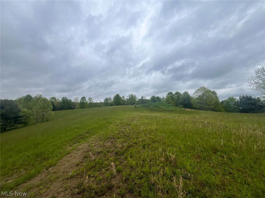 87085 Crall Road - Photo 1