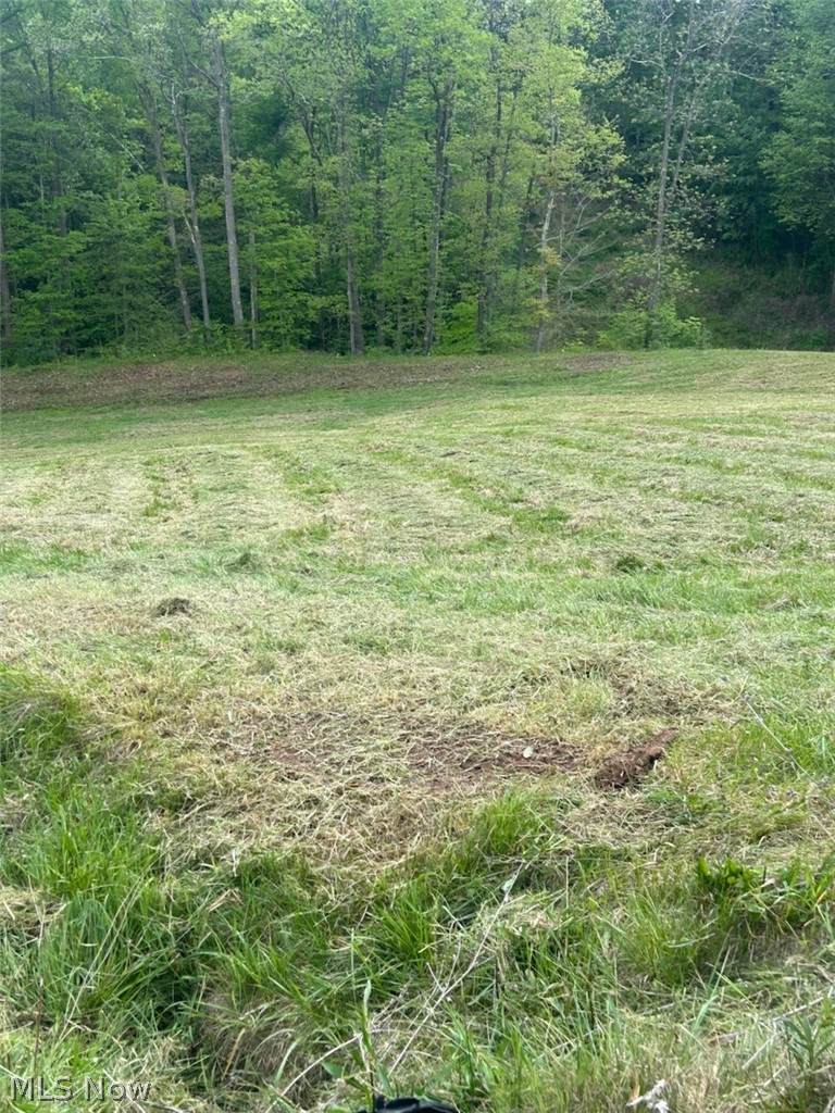  County Line Road - Photo 1