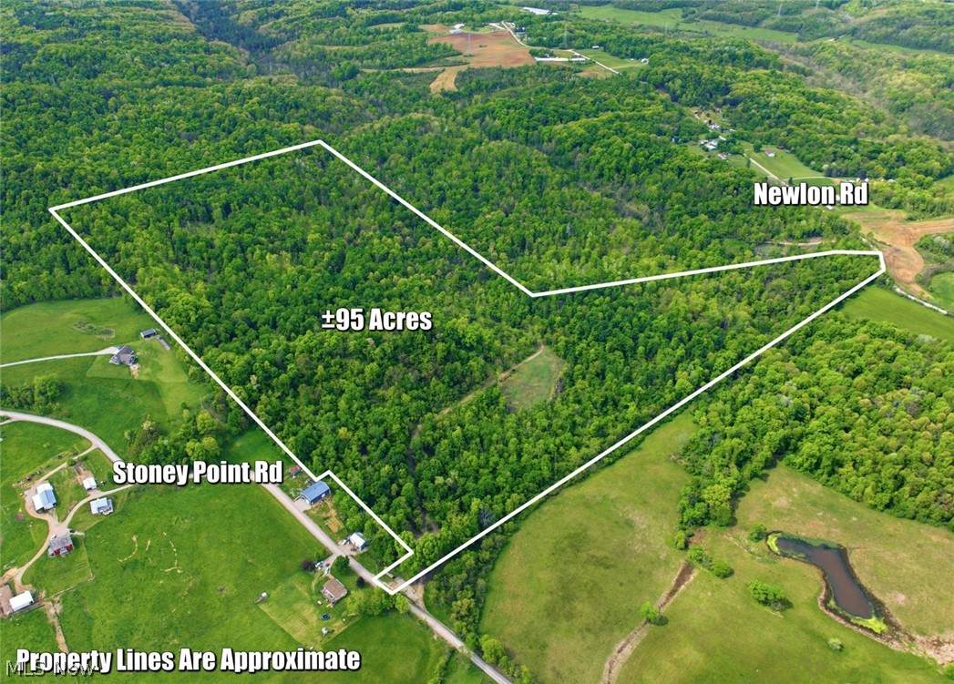 95 acres Newlon Road - Photo 1