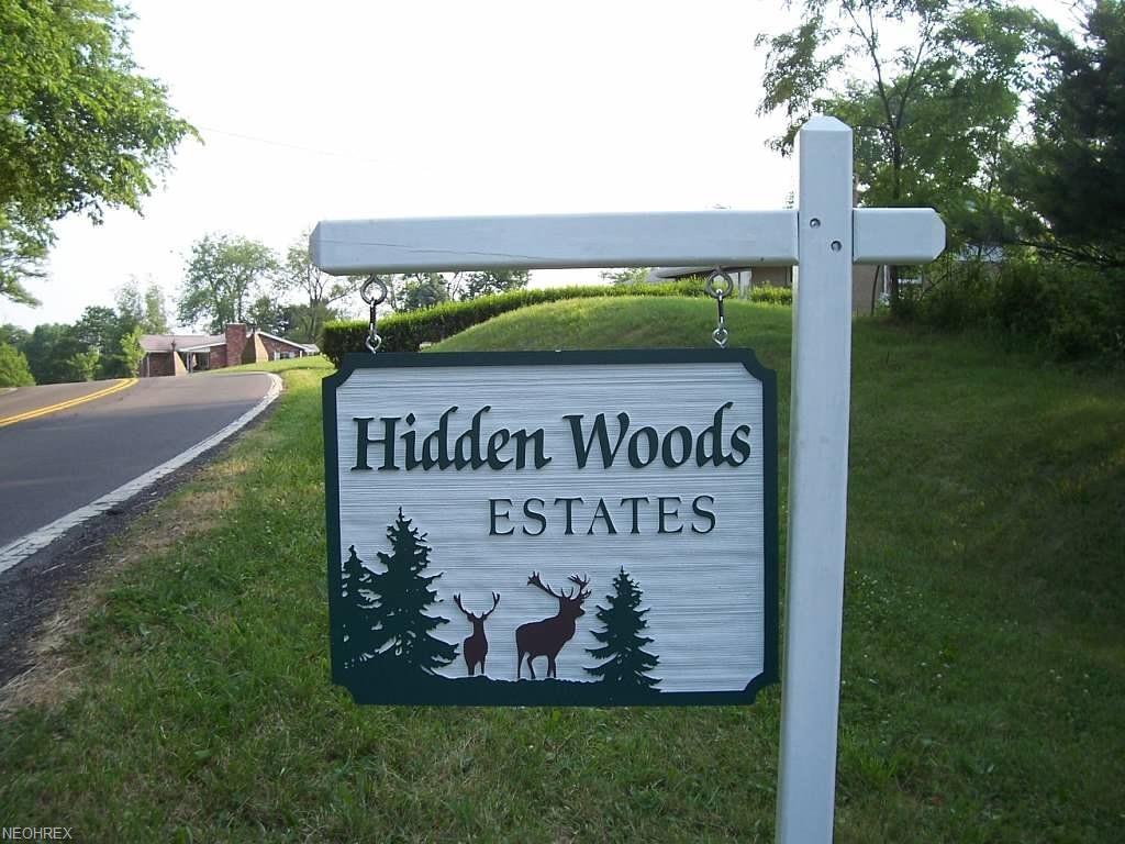TBD Hiddenwoods Est - Photo 1