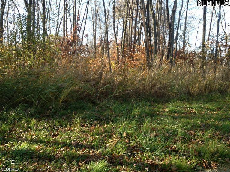 22 Spring Creek - Photo 1