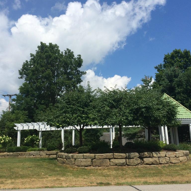 Lot #85 Medina Line Rd - Photo 1