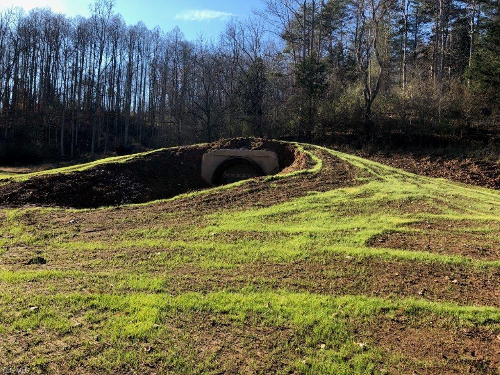 Laurel Fork - Photo 1