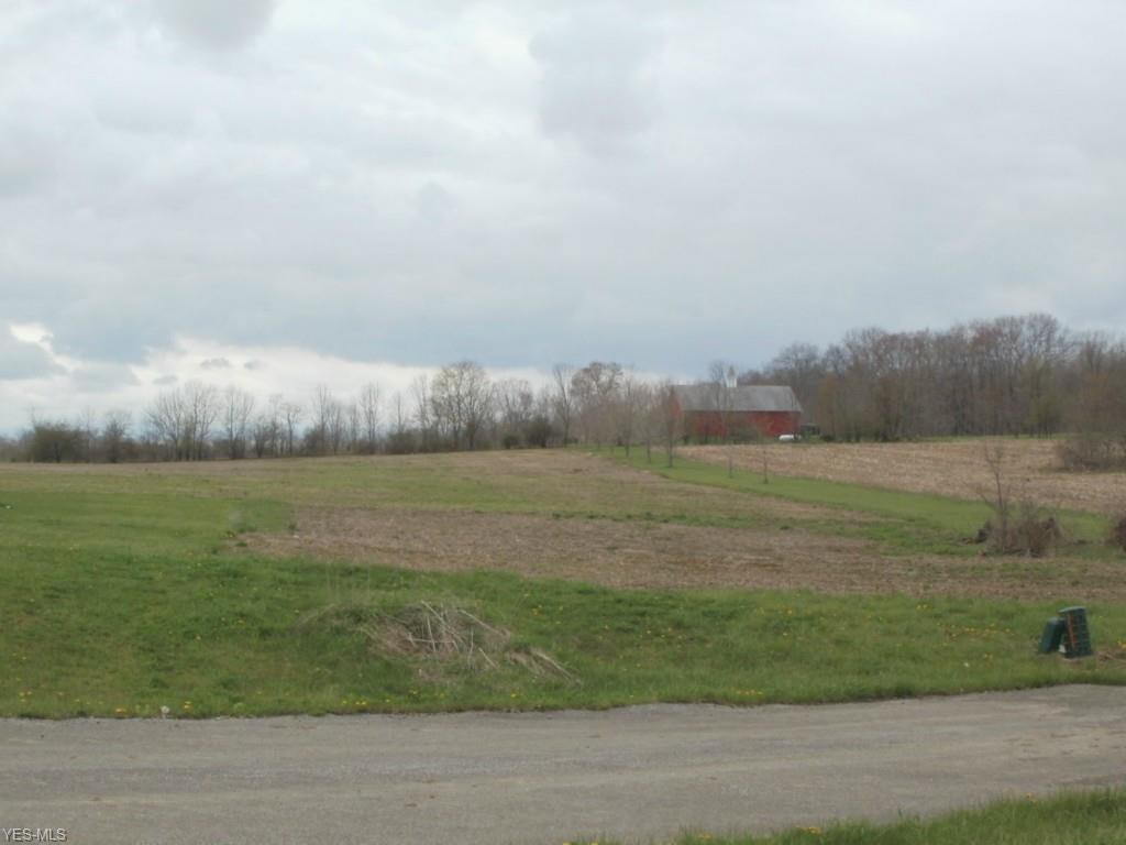Wheeler Road - Photo 1