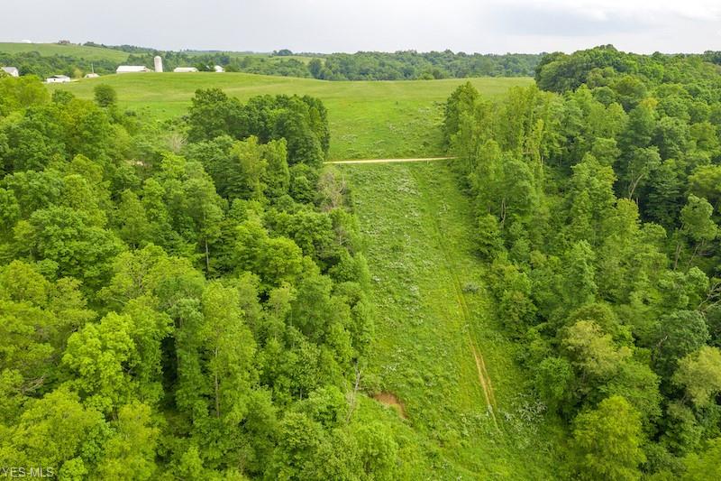 420 Gravel Lick Road - Photo 1