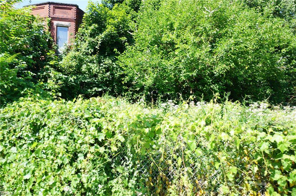 93rd Lot 3 Street - Photo 1