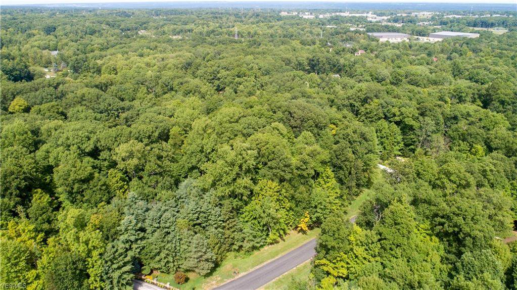 Deer Run Road - Photo 1