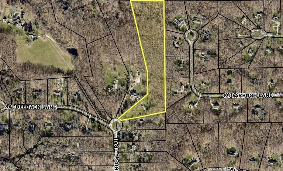 333 Timberidge Trail - Photo 1