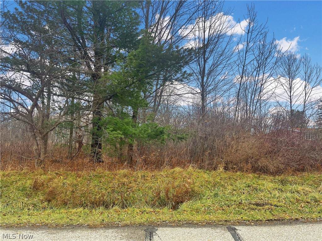 10444 Meadowhurst Lane - Photo 1