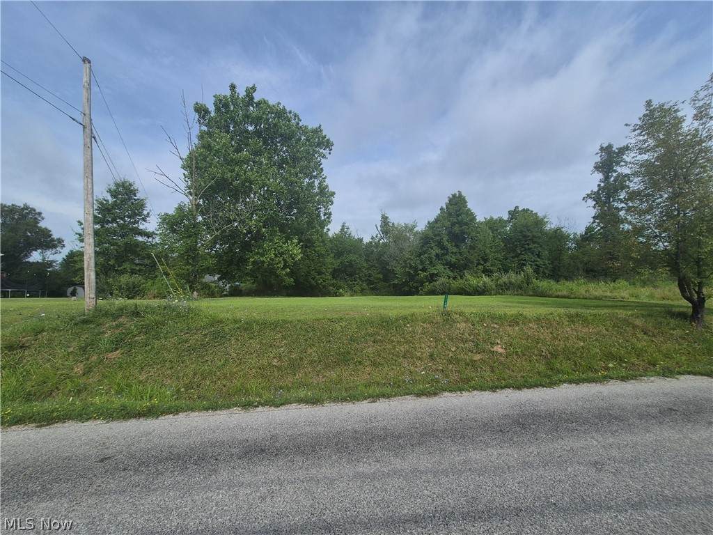 1129-1130 Cinnamon Drive - Photo 1