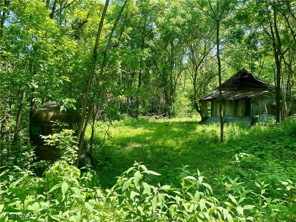 Valley Road - Photo 1