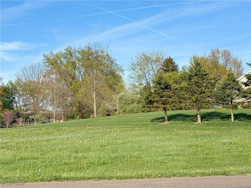 49236 Foxwood Lane - Photo 1