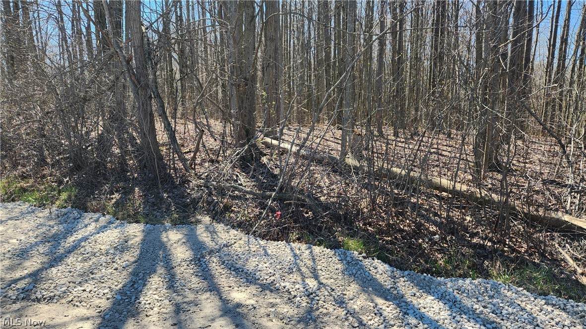 1905 Sexton Road - Photo 1