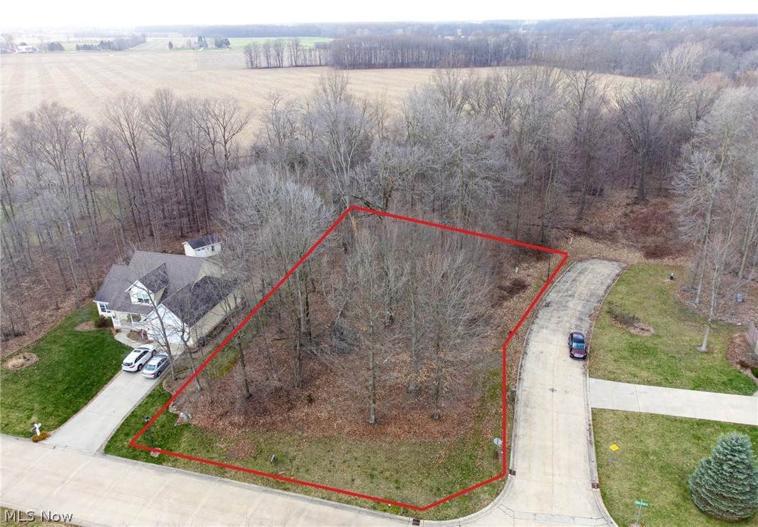 V/L 260 Stony Brook Lane - Photo 1
