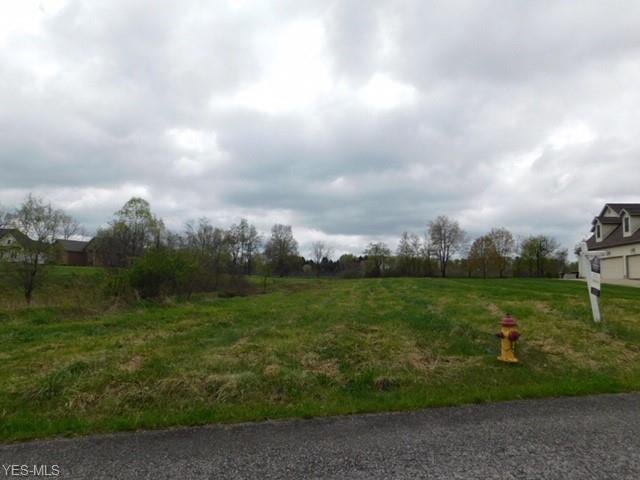 Sageberry Drive - Photo 1