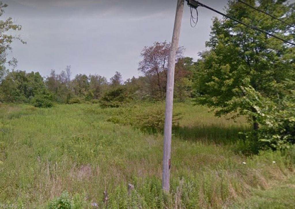 V/L 2 Center Rd - Photo 1