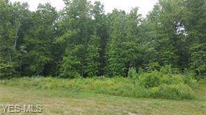 S/L 530 Reserve Way - Photo 1