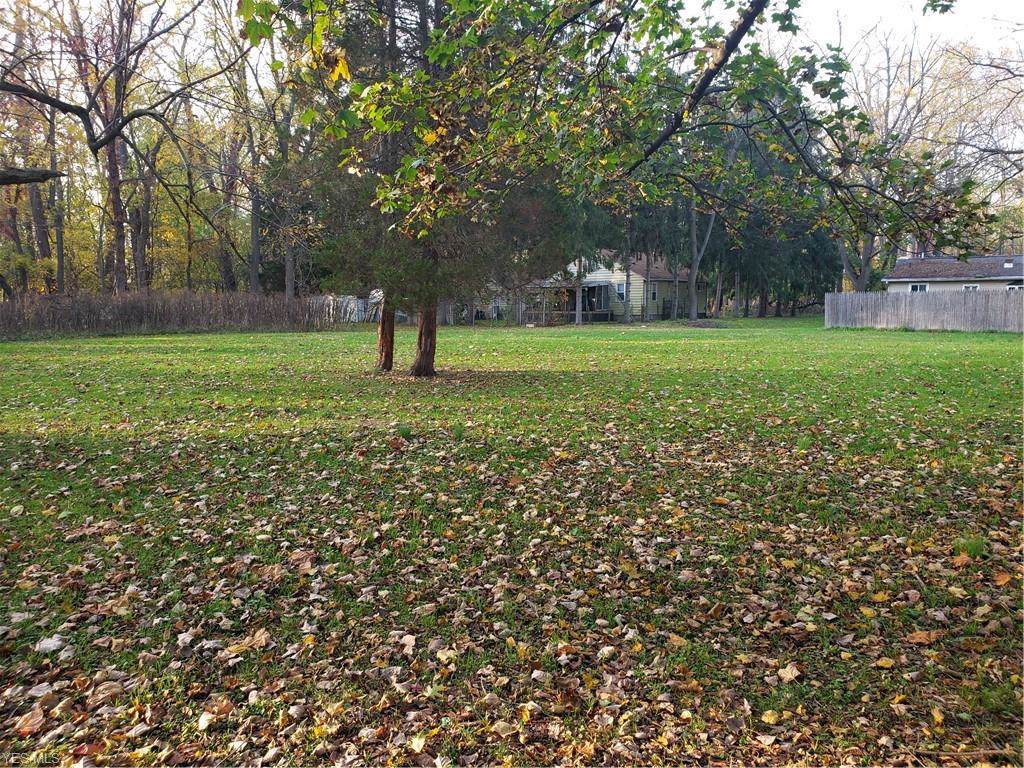 35931 Woodland Drive - Photo 1