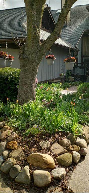 1535 Treetop Trail - Photo 1