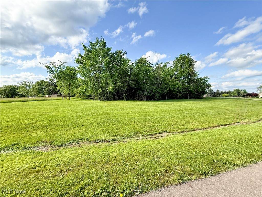 49556 Foxwood Lane - Photo 1