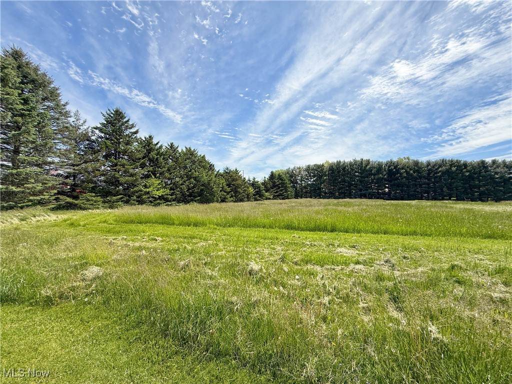 49631 Foxwood Lane - Photo 1