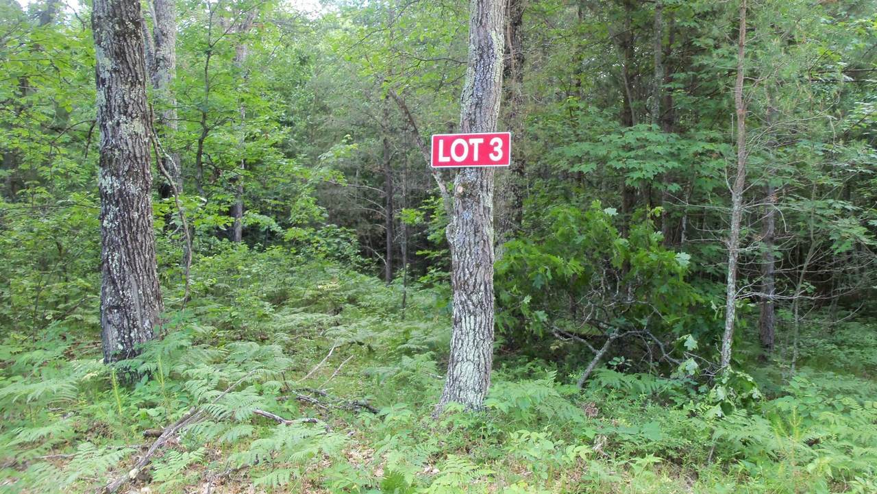LOT 3 Lot 3 - Photo 1