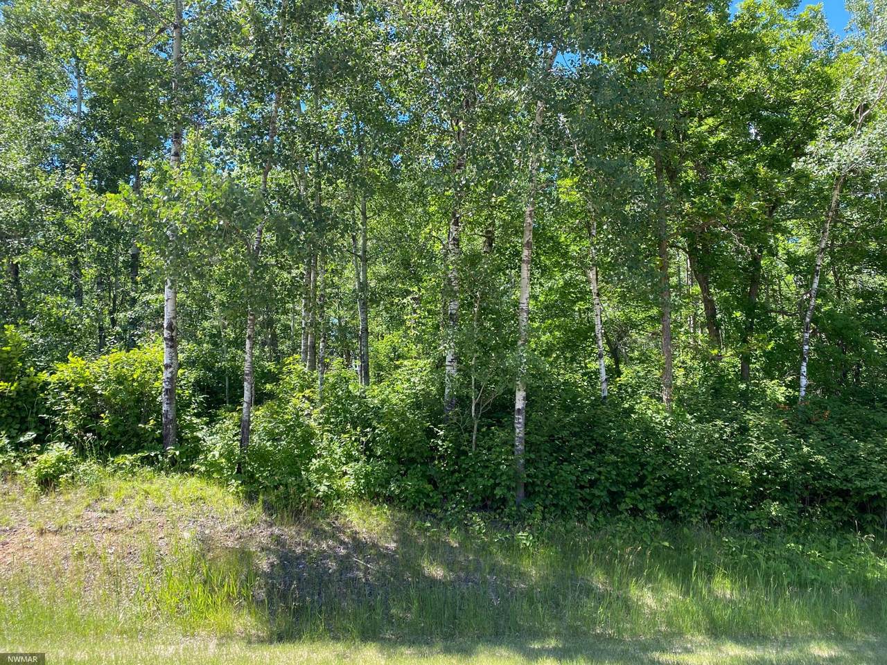 tbd Whisperwood Ct Sw - Photo 1