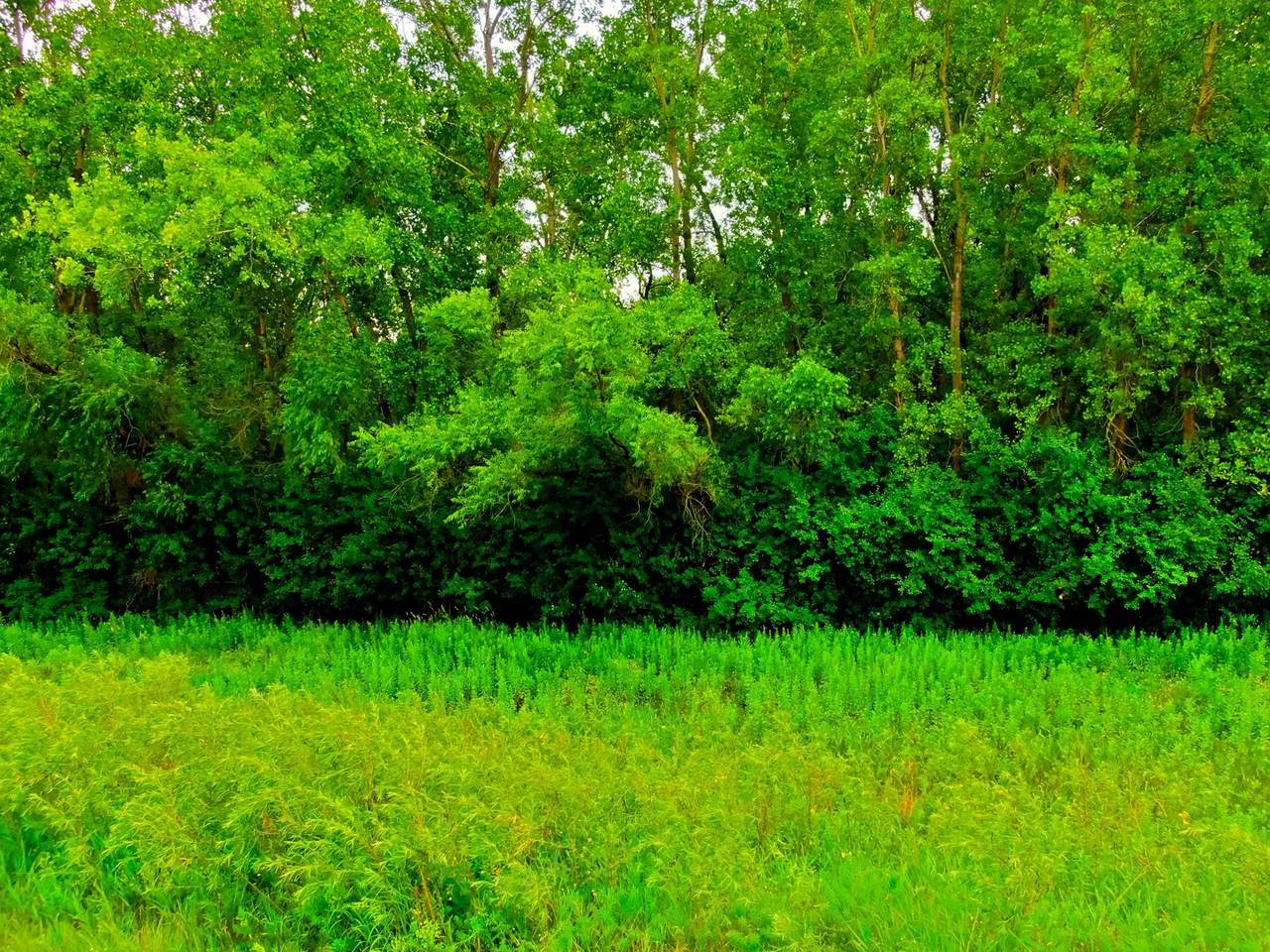 Lot 2 Blk 1 Kenrick Avenue - Photo 1