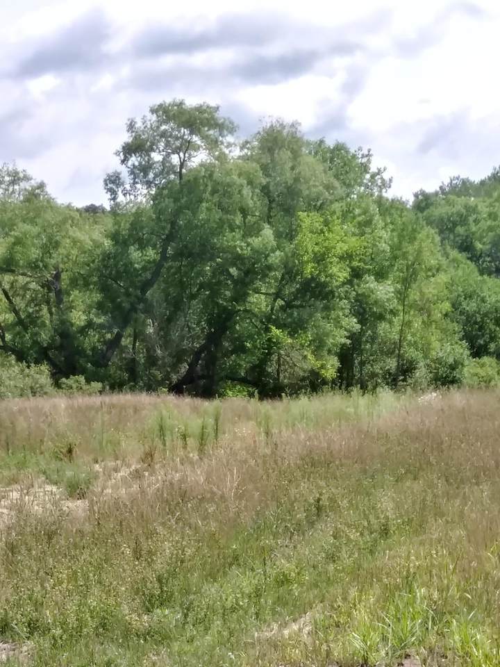 1817 Laramee Lane - Photo 1