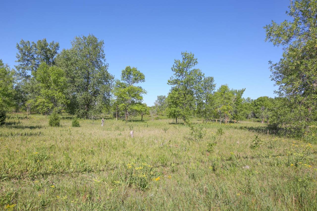 TBD South Broadway - Photo 1