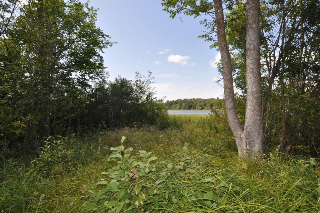 TBD County 49 - Photo 1