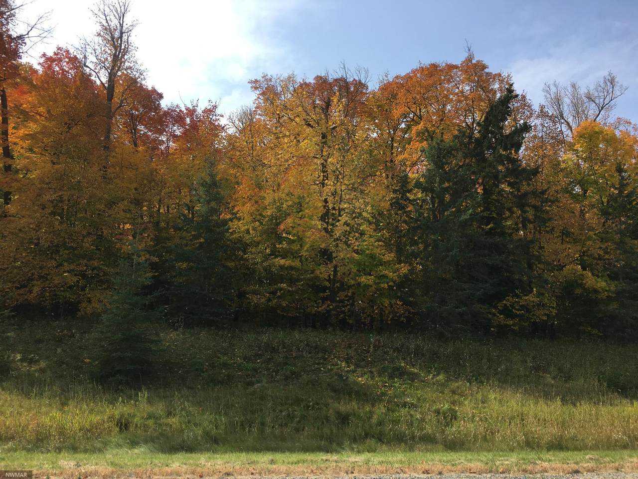 TBD Blackduck Lake Road - Photo 1