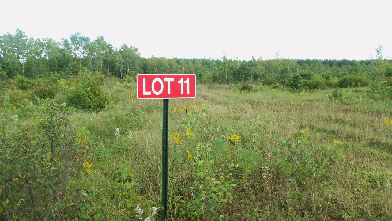 LOT 11 Pine Tree Trl - Photo 1