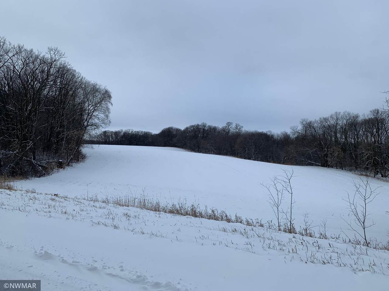 TBD 2607 County Road 14 - Photo 1